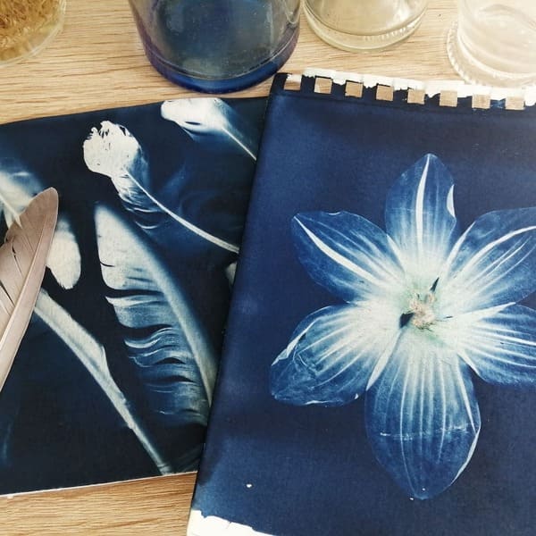 En savoir plus sur Atelier scientifique cyanotype